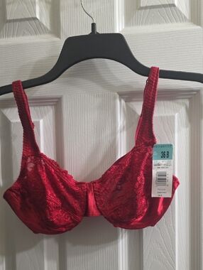 vassarette Vixen Red Lace Underwire Bra Size 36B